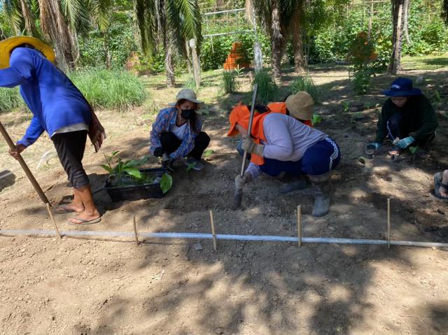 2. จัดกิจกรรมพัฒนาศูนย์เรียนรู้เศรษฐกิจพอเพียง วันที่ 20-21 พฤษภาคม 2564 ณ ศูนย์เรียนรู้เศรษฐกิจพอเพียง ตำบลนิคมทุ่งโพธิ์ทะเล อำเภอเมืองกำแพงเพชร จังหวัดกำแพงเพชร